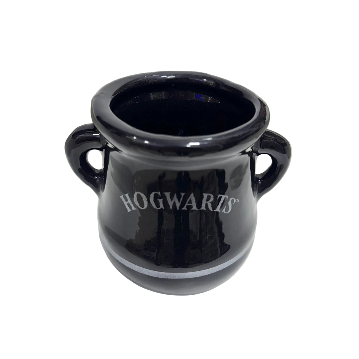 CANECA POÇÃO HOGWARTS 3D 350ML - HARRY POTTER