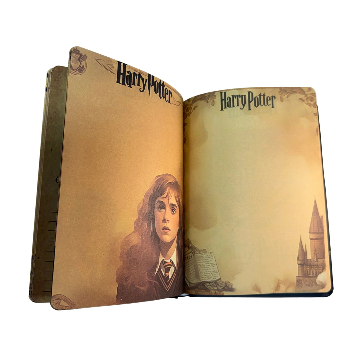 AGENDA CAPA DURA HARRY POTTER - EDIÇÃO LIMITADA
