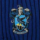 SUÉTER CURVINAL QUADRIBOL  - HARRY POTTER